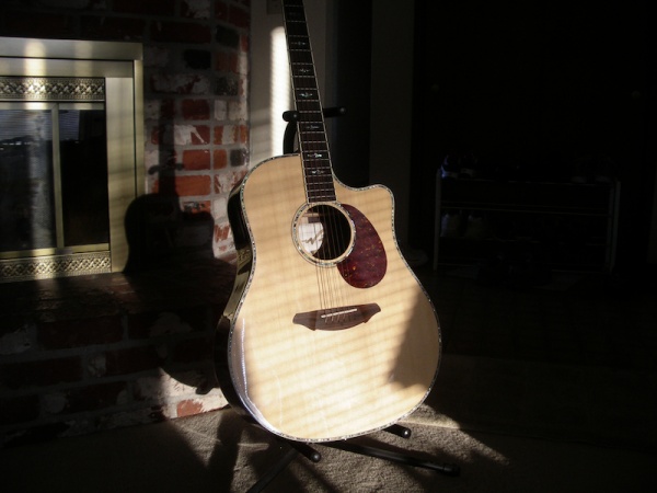 Breedlove D25/SR